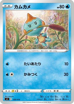 Chewtle (120/414) - SI Start Deck 100