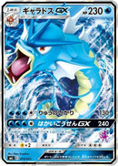 Gyarados GX (015/051) - smL Sun  Moon Family Pokemon Card Game Holofoil