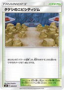 Brock's Pewter City Gym (030/031) - smK Trainer Battle Decks