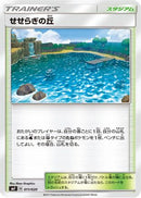 Brooklet Hill (011/020) - smF Ultra Sun  Ultra Moon Premium Trainer Box