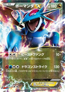 Salamence EX - 253/XY-P (253/XY-P) - XYP XY Promos Holofoil