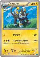 Luxio (028/080) - XY2 Wild Blaze Unlimited