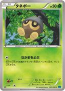 Seedot (005/080) - XY2 Wild Blaze 1st Edition