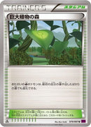 Forest of Giant Plants (079/081) - XY7 Bandit Ring 1st Edition