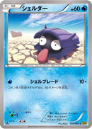 Shellder (016/080) - XY9 Rage of the Broken Heavens Unlimited