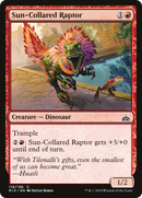 Sun-Collared Raptor [Rivals of Ixalan]