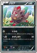 Zorua - 116/BW-P (116/BW-P) - BWP Promotional cards