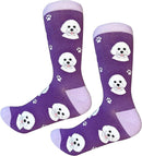 Sock Daddy: Pet Lover: Bichon Frise (800-4)