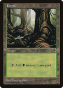 Forest (Large Roots) [Tempest]