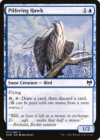 Pilfering Hawk [Kaldheim]