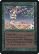 Shanodin Dryads [Alpha Edition]