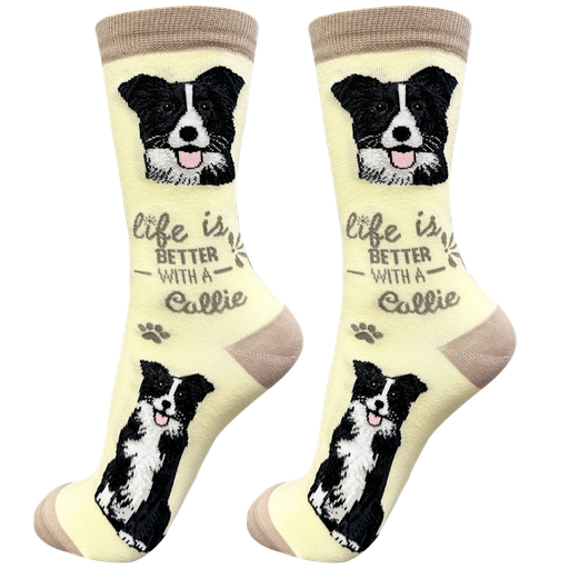 Life is Better Socks: Border Collie