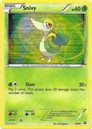 Snivy - BW01  - Holofoil Black and White Promos - Promo