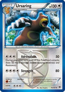 Ursaring (Team Plasma) 076  - Reverse Holofoil Plasma Blast - Uncommon