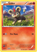 Litleo (19) (19) 019  - Reverse Holofoil XY  Flashfire - Common