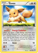 Eevee 080  - Reverse Holofoil XY  Furious Fists - Common