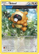 Bidoof (Alpha) 117  XY  Primal Clash - Uncommon