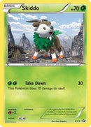 Skiddo - XY11  - Holofoil XY Promos - Promo