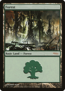Forest (5) [Arena League 2004]