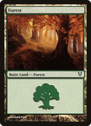 Forest (243) [Avacyn Restored]