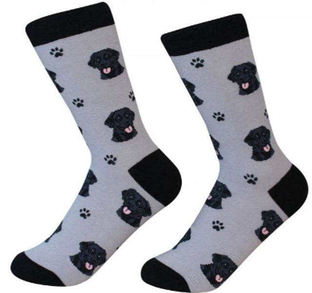 Sock Daddy: Pet Lover: Labrador Black (800-21)