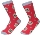 Sock Daddy: Pet Lover: Golden Retriever (800-15)
