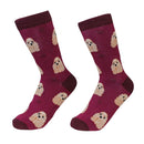 Sock Daddy: Pet Lover: Cocker Spaniel (800-78)