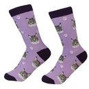 Sock Daddy: Pet Lover: Maine Coon (801-6)