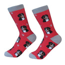 Sock Daddy: Pet Lover: Bernese Mt Dog (800-52)