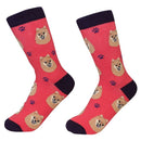 Sock Daddy: Pet Lover: Pomeranian (800-27)