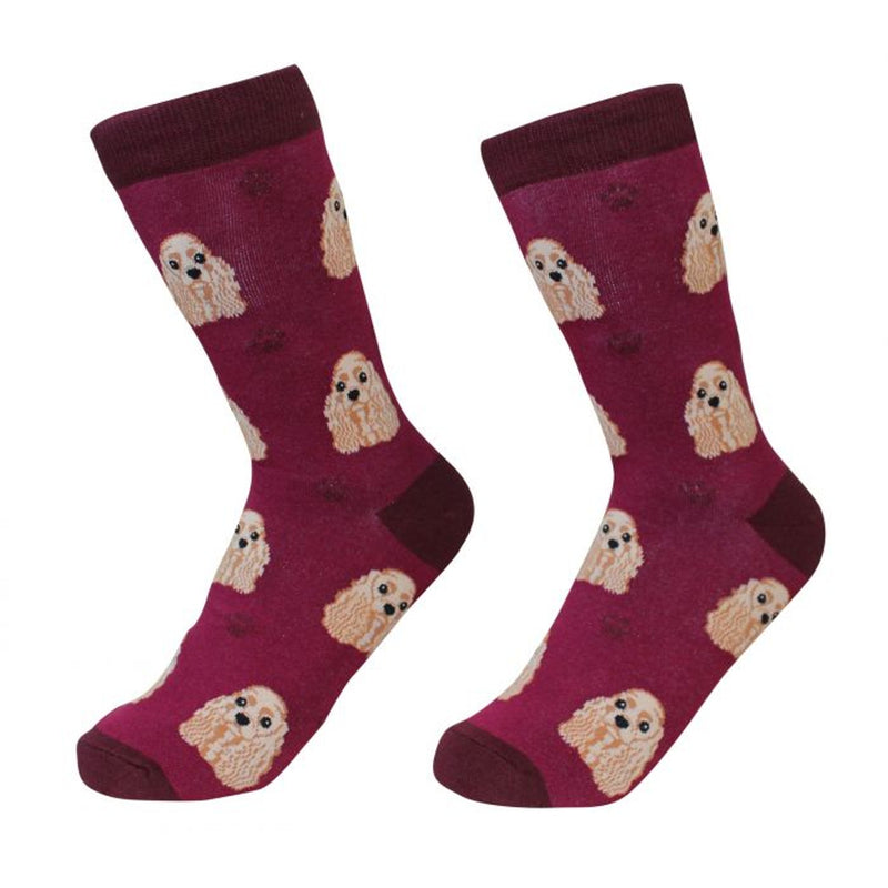 Sock Daddy: Pet Lover: Cocker Spaniel (800-78)