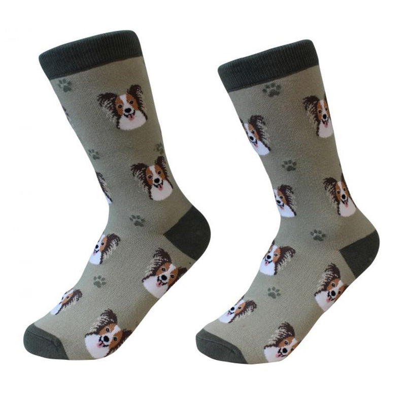 Sock Daddy: Pet Lover: Papillon (800-63)