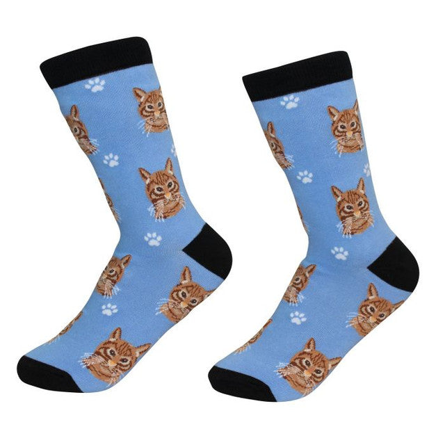 Sock Daddy: Pet Lover: Tabby Orange (801-9)