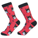 Sock Daddy: Pet Lover: Black & White Cat (801-3)