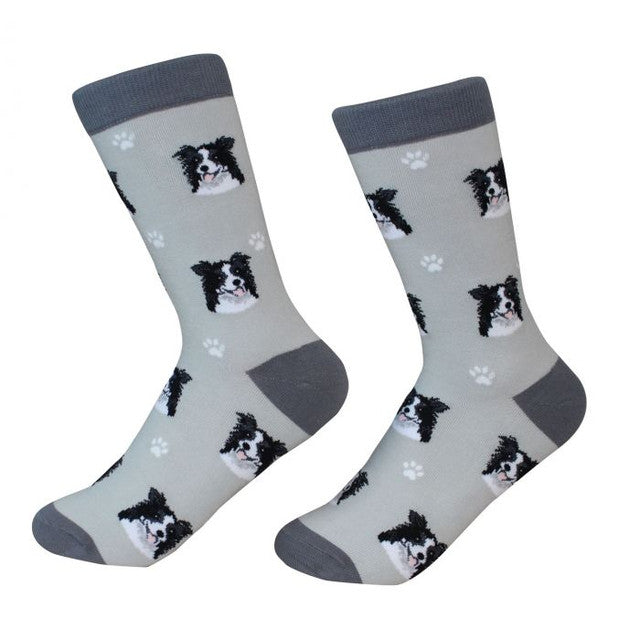 Sock Daddy: Pet Lover: Border Collie (800-5)