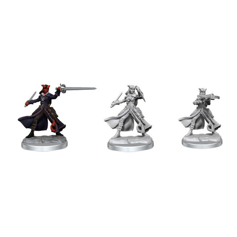Wizkids: D&D Frameworks: Tiefling Rogue