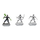 Wizkids: D&D Frameworks: Human Rogue