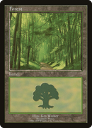 Forest (6) [European Land Program]
