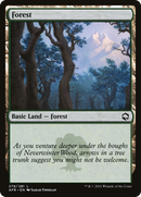 Forest (279) [Dungeons & Dragons: Adventures in the Forgotten Realms]