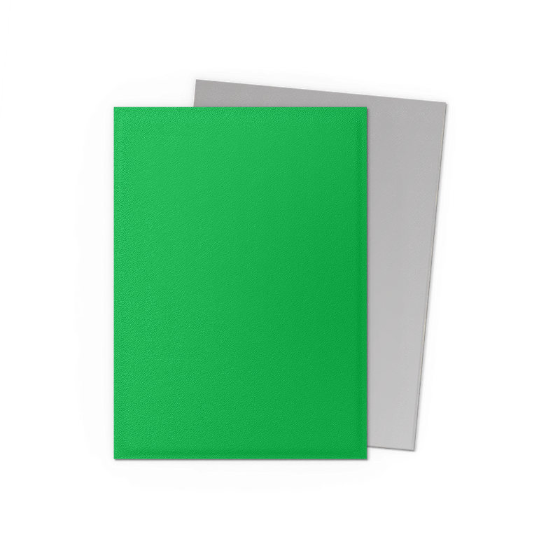 Dragon Shield: Standard 100ct Sleeves - Apple Green & Silver (Dual Matte)