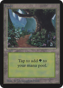 Forest (295) [Alpha Edition]