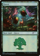 Forest (Predatory) (578) [Secret Lair Drop Promos]