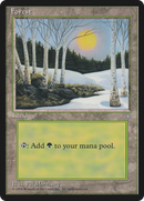 Forest (Sun Visible) [Ice Age]