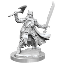 Wizkids: D&D Frameworks: Half-Elf Ranger