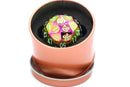 Hymgho Titan Fist - Prism Rainbow (D60)
