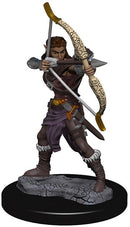 Wizkids Icons of the Realms Premium Miniatures: Dragonborn Paladin