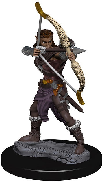 Wizkids Icons of the Realms Premium Miniatures: Dragonborn Paladin