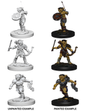 Wizkids: Nolzur's Marvelous Miniatures: Goblins