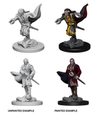 Wizkids: Nolzur's Marvelous Miniatures: Vampires