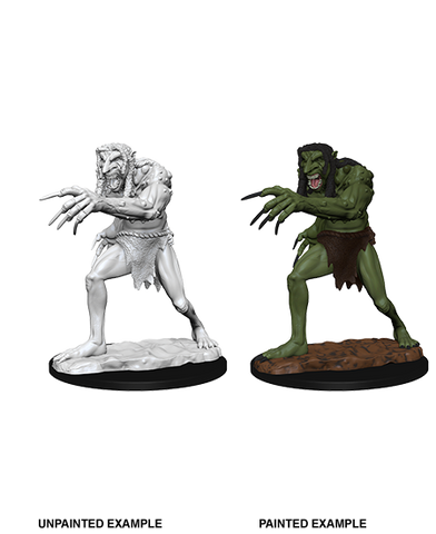 Wizkids: Nolzur's Marvelous Miniatures: Troll